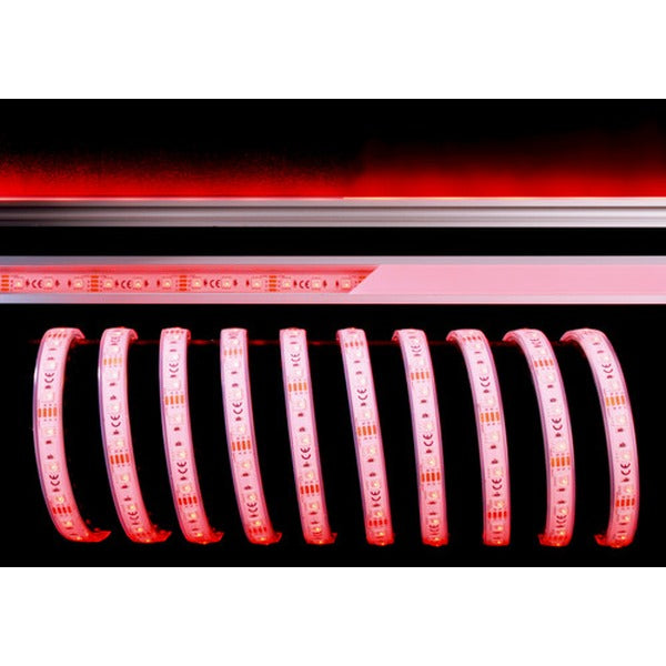 LED SMD Standard · 24V · 13 W/m · IP67 · RGB